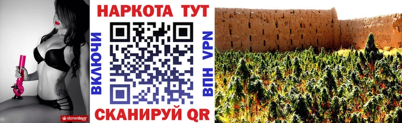 Как найти закладки Приморско-Ахтарск COCAIN  МАРИХУАНА  Меф мяу мяу  СК  ГАШ 