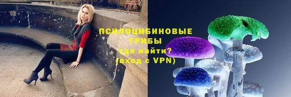 тгк Переславль-Залесский