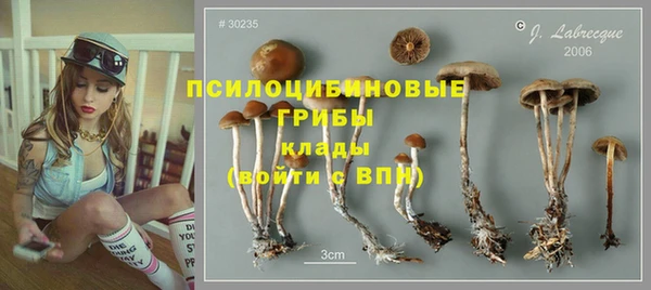 спиды Армянск