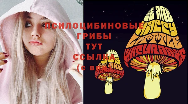 спиды Армянск