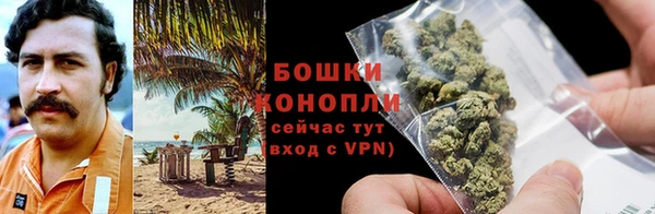 тгк Переславль-Залесский