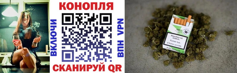 Каннабис индика наркотики Приморско-Ахтарск